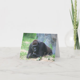 Black Gorilla, hoe gaat je dag? Notitiekaartje