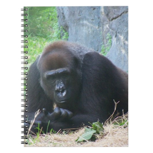 Black Gorilla Notitieboek (Voorkant)