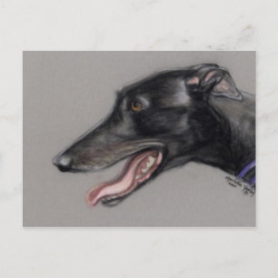 Black Greyhound Original Dog Art Briefkaart