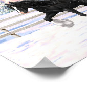 Black gypsy vanner Irish Cob Draft Horse in sneeuw Poster (Hoek)