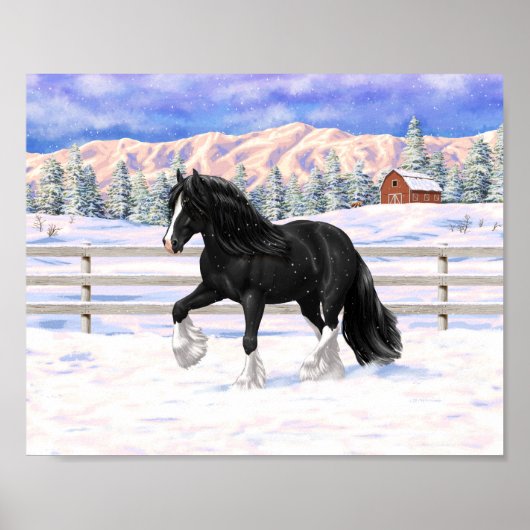Black gypsy vanner Irish Cob Draft Horse in sneeuw Poster (Voorkant)