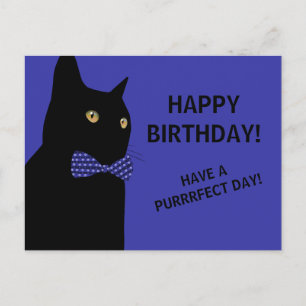 Black Happy Birthday Cat met een Blue Bow Stropdas Briefkaart
