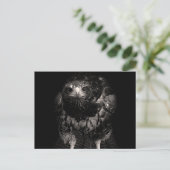 Black Hawk Briefkaart (Staand voorkant)