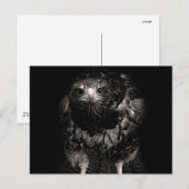 Black Hawk Briefkaart (Voorkant / Achterkant)