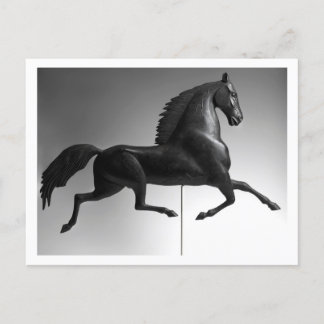 Black Hawk Weathervane Briefkaart