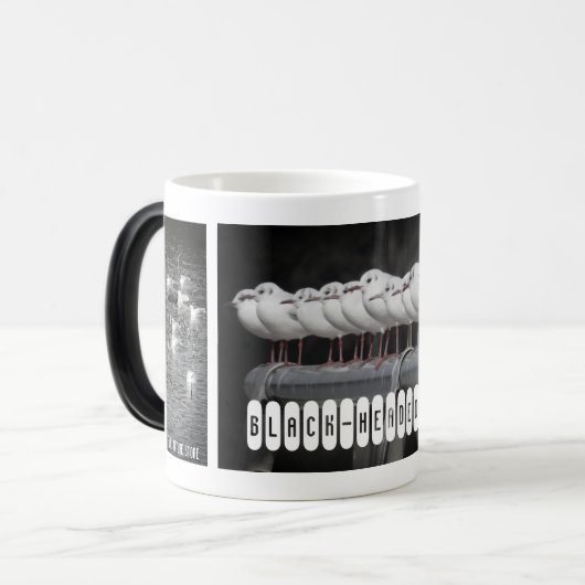 Black-headed Gull:Morfing Mag Magische Mok (Voorkant links)