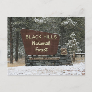 Black Hills National Forest Briefkaart