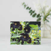 Black Hollyhocks Briefkaart (Staand voorkant)