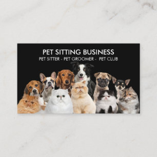 Black Home Pet Six Dogs Five Cats Visitekaartje