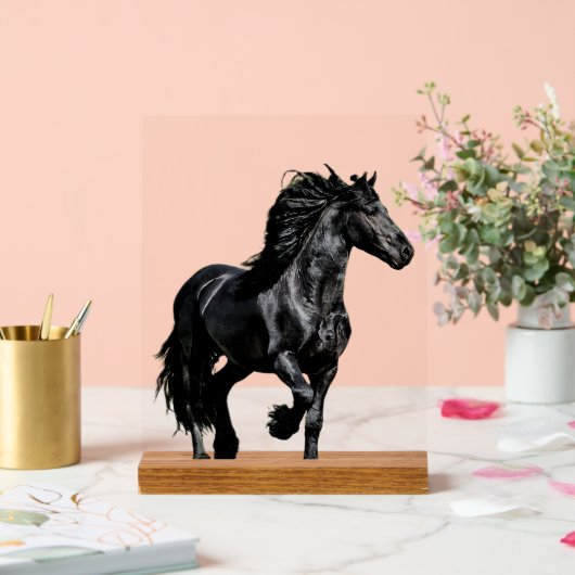 Black horse (Mariage)