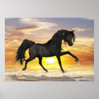 Black Horse 28 x 20 inch, voordelig Poster (Matte)