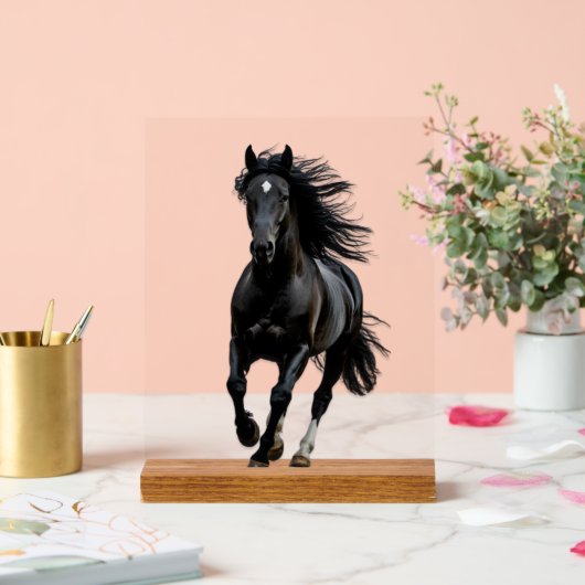 Black horse acryl bord (Huwelijk)