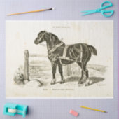 Black Horse Ephemera Decoupage Frans Tissuepapier (Craft)