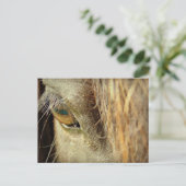 Black Horse Eye Briefkaart (Staand voorkant)