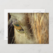 Black Horse Eye Briefkaart (Voorkant / Achterkant)