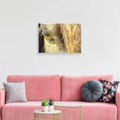 Black Horse Eye Canvas Afdruk (Insitu (Woonkamer))