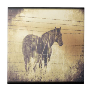 Black Horse Grunge Tegeltje