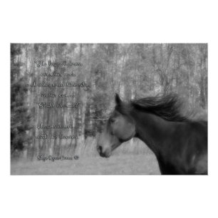 Black Horse & Horse-lover Poem w Equine B&W Foto Perfect Poster