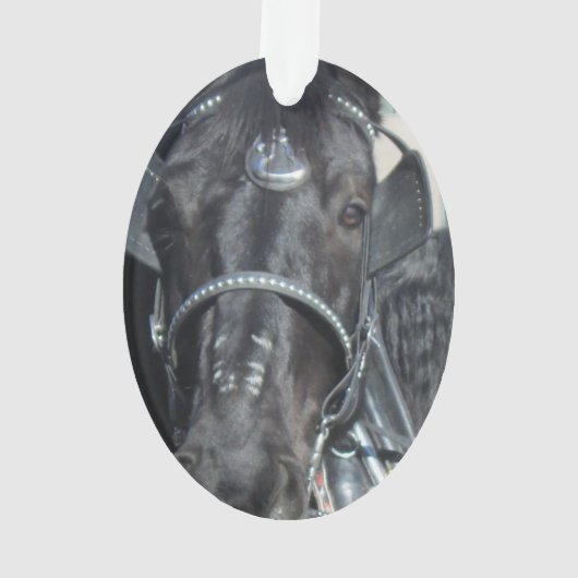 Black Horse Ornament (achterkant)