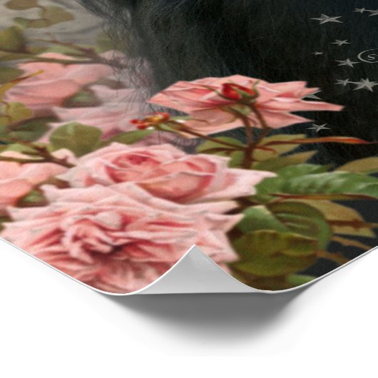 Black Horse - Poster (Coin)