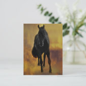 Black Horse Silhouette Briefkaart (Staand voorkant)