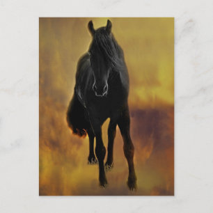 Black Horse Silhouette Briefkaart