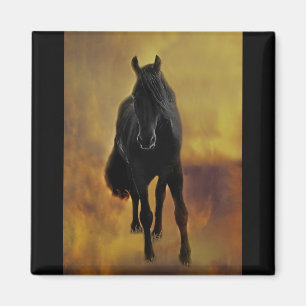 Black Horse Silhouette Magneet