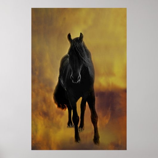 Black Horse Silhouette Poster (Voorkant)