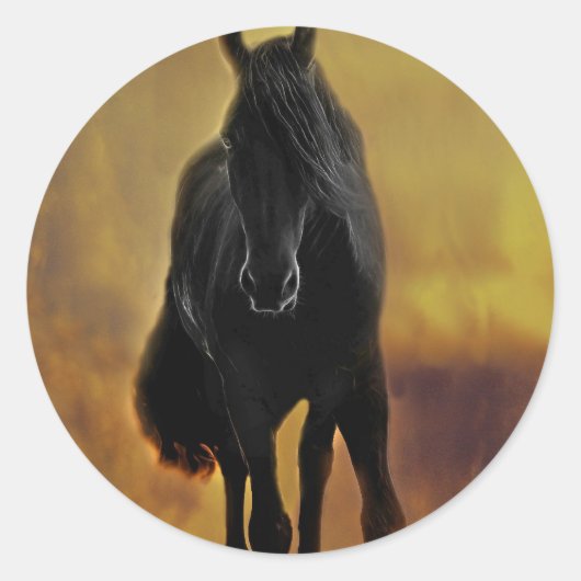 Black Horse Silhouette Ronde Sticker (Voorkant)