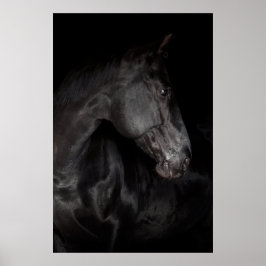Black Horse Stallion Photo Natuur Wall Poster
