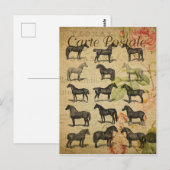  Black Horses Franse Carte Postale Briefkaart (Voorkant / Achterkant)