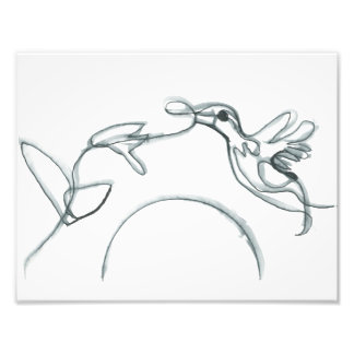 Black Hummingbird Foto Afdruk