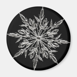 Black Ice Crystal Magneet