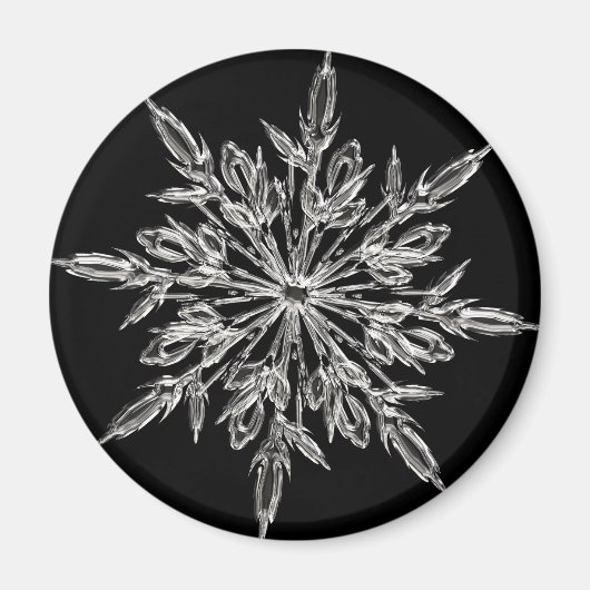Black Ice Crystal Magneet (Voorkant)