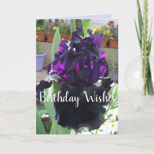 Black Iris Flower Floral Photo Love Birthday Card Kaart