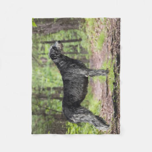 Black Irish Wolfhound Posing in de bossen Fleece Deken (Voorkant)