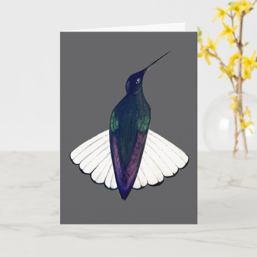 Black Jacobin Hummingbird Kaart (Gele Bloem)