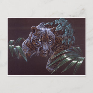 Black Jaguar Briefkaart