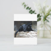 Black Jaguar Briefkaart (Staand voorkant)