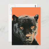 Black Jaguar Panther Briefkaart (Voorkant / Achterkant)