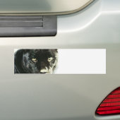 Black Jaguar Panther Bumpersticker (Op auto)