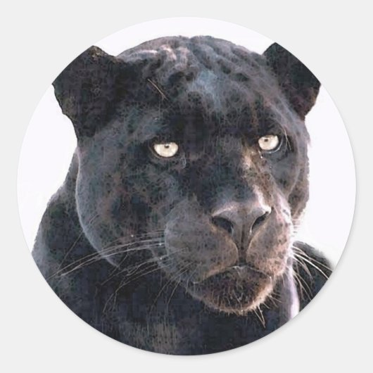 Black Jaguar Ronde Sticker (Voorkant)