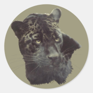 Black Jaguar Ronde Sticker