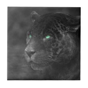 Black Jaguars Emerald Gaze Tegeltje