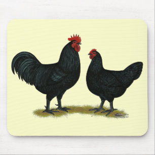 Black Java Chickens Muismat