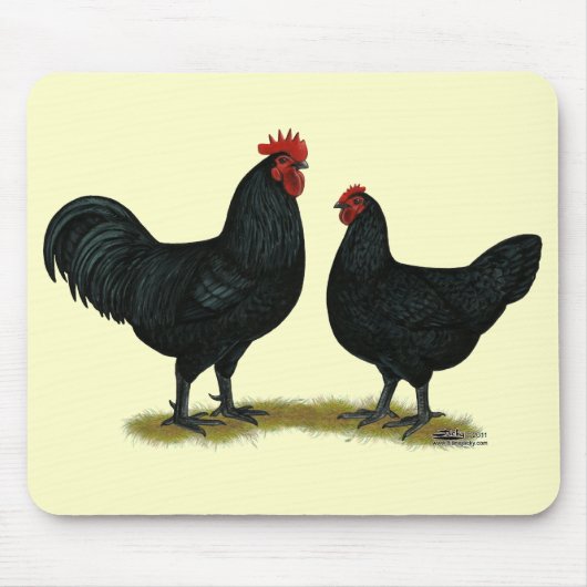 Black Java Chickens Muismat (Voorkant)