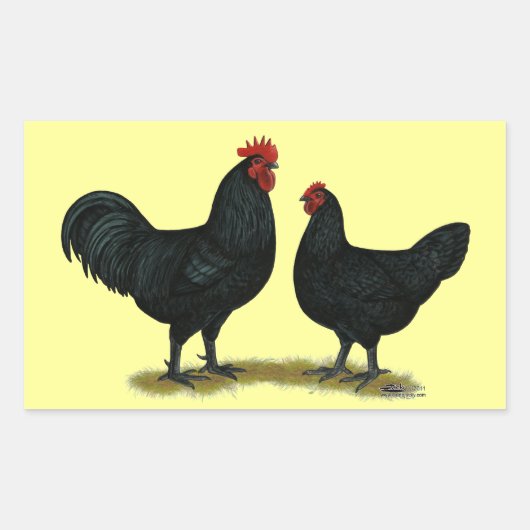 Black Java Chickens Rechthoekige Sticker (Voorkant)