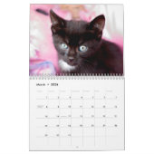 Black Katten Photo Wall Agenda Kalender (Mar 2026)