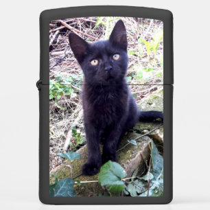 Black Kitten
