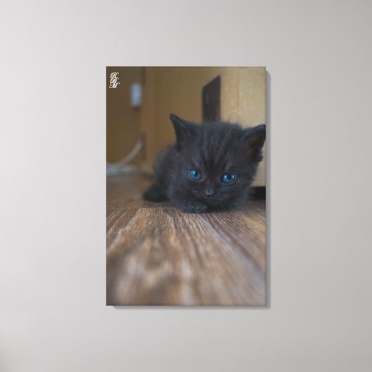 Black Kitten Canvas Afdruk (Voorkant)